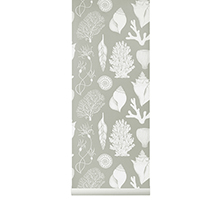 Обои Katie Scott Shells Aqua