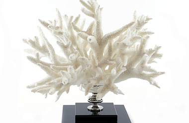 30% скидка на дизайнерские подарки к 8 марта в шоу-руме на Б. Грузинской 42