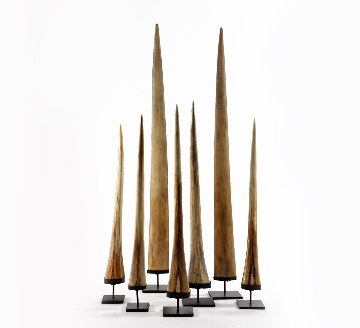 Зуб на стенде  , стоимость 24 985 руб.